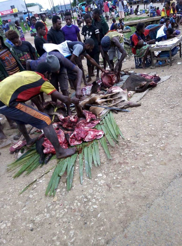 Venison can be bought in local markets in Western Province